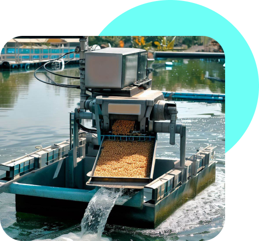 alimentardor de peixes