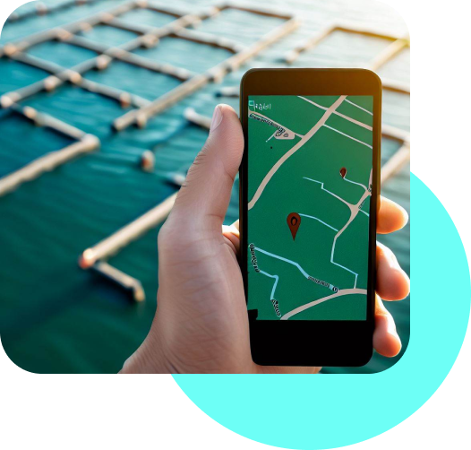 alimentardor de peixes